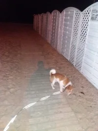 20171012_191429.webp 20171012_191429.webp