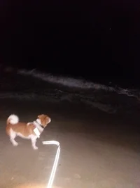 20171012_191644.webp 20171012_191644.webp