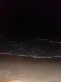 20171012_191649.webp 20171012_191649.webp