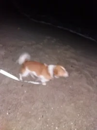 20171012_191701.webp 20171012_191701.webp