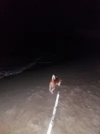 20171012_191711.webp 20171012_191711.webp