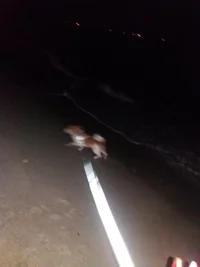 20171012_191717.webp 20171012_191717.webp