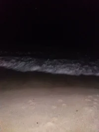 20171012_191735.webp 20171012_191735.webp