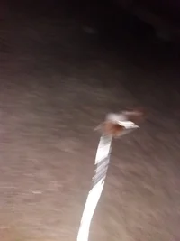 20171012_191656.webp 20171012_191656.webp