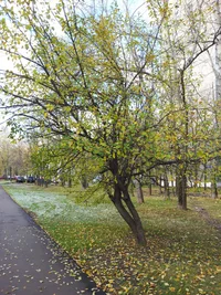 20171022_115344.webp 20171022_115344.webp