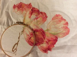 C3AD2F30-E1EA-48A1-BDF8-73E001CB4E53.webp C3AD2F30-E1EA-48A1-BDF8-73E001CB4E53.webp