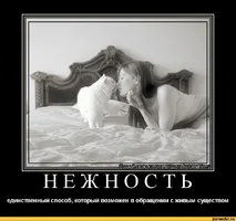 нежность2.webp нежность2.webp