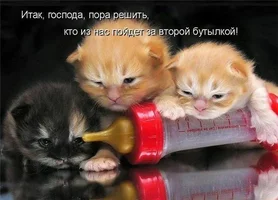 За второй бутылкой.webp