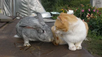 Изображение 314.webp Изображение 314.webp