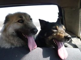 P1080062.webp P1080062.webp