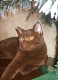 S8302663_2.webp S8302663_2.webp