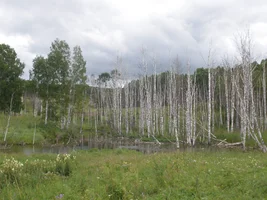 P7220808.webp P7220808.webp