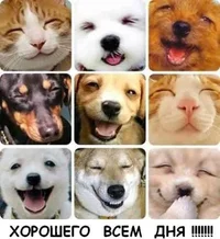 хорошего всем дня.webp