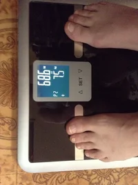 image.webp image.webp