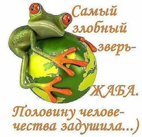 СМЕШНОЕ_35.webp