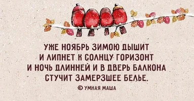 gED8z26OcDo.webp gED8z26OcDo.webp