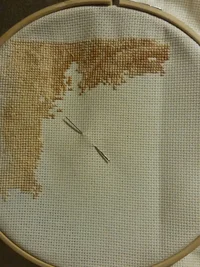 20171031_205851.webp 20171031_205851.webp