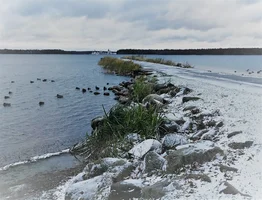 1CDB78D9-65E1-4B4D-A18B-65CDA8ED2ED1 (2).webp