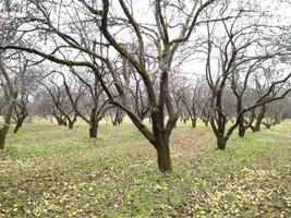 IMG_20171112_103454.webp IMG_20171112_103454.webp