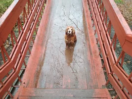 IMG_20171112_104339.webp IMG_20171112_104339.webp