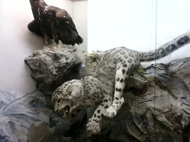 upload_2017-11-20_10-29-14.webp upload_2017-11-20_10-29-14.webp