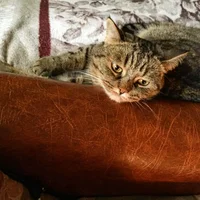 2017-07-19 13-24-59.webp