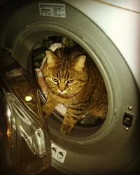 2016-05-23 23-14-26.webp