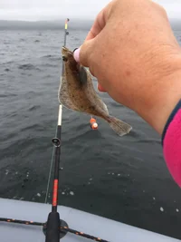 2017-07-18 10-44-46.webp