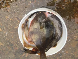 2017-06-16 13-29-52.webp