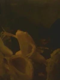 upload_2017-11-29_16-49-35.webp