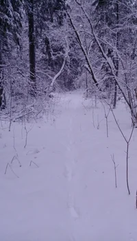 IMAG0022.webp IMAG0022.webp