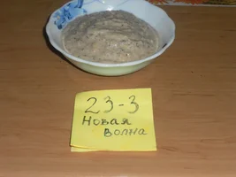 2017-12-04 05-38-36.webp