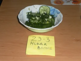 2017-12-09 09-12-30.webp