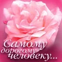 Роза_1.webp