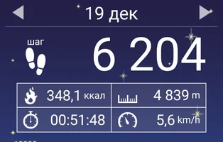 Screenshot_2017-12-26-02-56-42-746_com.tayu.tau.pedometer.webp