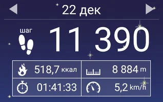 Screenshot_2017-12-26-02-59-00-679_com.tayu.tau.pedometer.webp