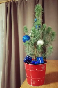 IMG_20171227_214631.webp IMG_20171227_214631.webp