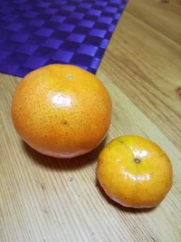 15144015954551397618947.webp 15144015954551397618947.webp