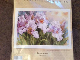 image.webp image.webp