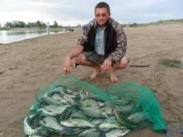 iefnVRc7teY (1).webp