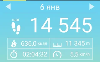 Screenshot_2018-01-09-09-39-42-358_com.tayu.tau.pedometer.webp