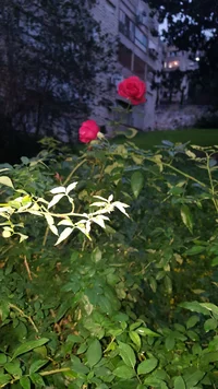 20180114_170201.webp 20180114_170201.webp