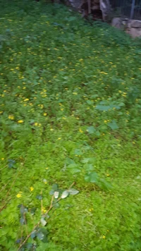 20180114_170213.webp 20180114_170213.webp