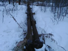 IMG_20180116_134952.webp IMG_20180116_134952.webp