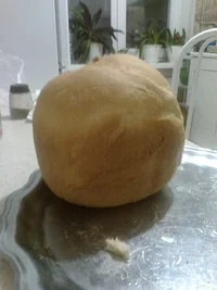 Фото0743.webp Фото0743.webp