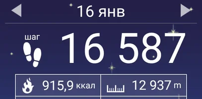 Screenshot_2018-01-23-05-42-22-749_com.tayu.tau.pedometer.webp