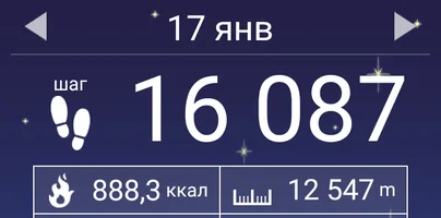 Screenshot_2018-01-23-05-42-52-655_com.tayu.tau.pedometer.webp