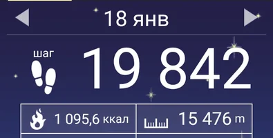 Screenshot_2018-01-23-05-43-32-683_com.tayu.tau.pedometer.webp