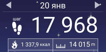 Screenshot_2018-01-23-05-44-43-738_com.tayu.tau.pedometer.webp
