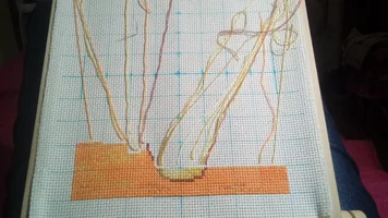 20180124_234118.webp 20180124_234118.webp